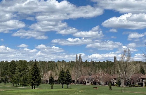 Munds Park Cabin | Luxury - Million Dollar Views of Golf Course and Forest