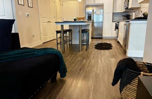 Sandy Springs Apartment | Luxury Modern 2-Bedroom Oasis