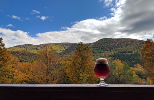 Hunter House | Luxury Modern "Treehouse" w/Spa, Footsteps to Skiing in Hunter Mountain.