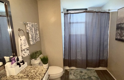 Sandy Springs House | Luxury Palace Sleep in luxury stay inline entire 2 bedroom apartment