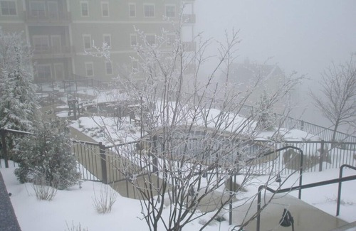 Snowshoe Condo | Luxury Snowshoe Penthouse - Best Ski-In~Out 1BR with Stunning Sunrise Mtn 🌅⛰️View