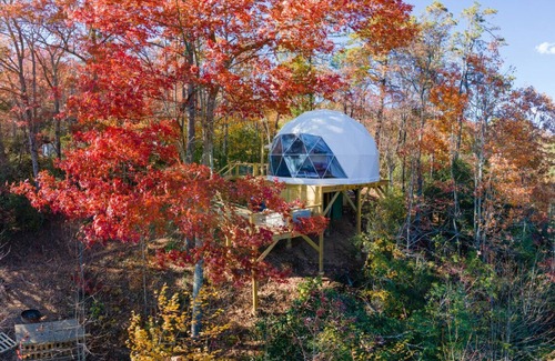 Balsam Grove House | Luxury Spa Dome: Sauna & Hot Tub