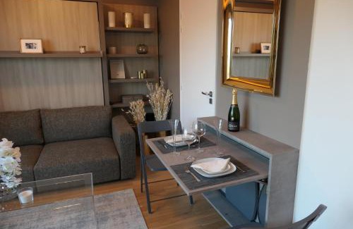12th Arrondissement Apartment | Luxury Studio Daumesnil Wifi & Netflix