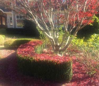 Raleigh Villa | Luxury Villa in Cary - Raleigh