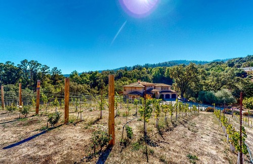Los Gatos House | Luxury Vineyard Gated Estate with Private Hot Tub, Fireplaces, Chef’s Kitchen