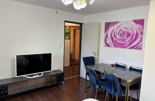 Lucerne Apartment | Luzern See