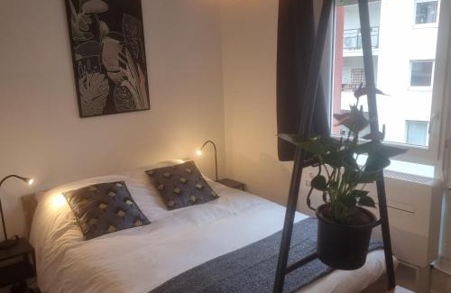 Ferrandiere - Maisons Neuves Apartment | Lyon Montchat Villeurbanne Studio refait à neuf climatisation et parking privé