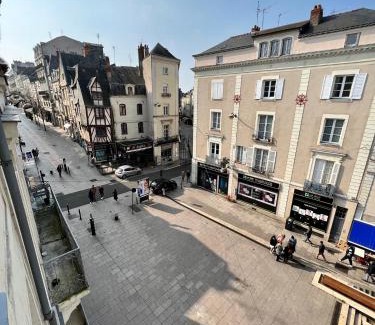Downtown Angers Apartment | Lysbed - Le Pilori