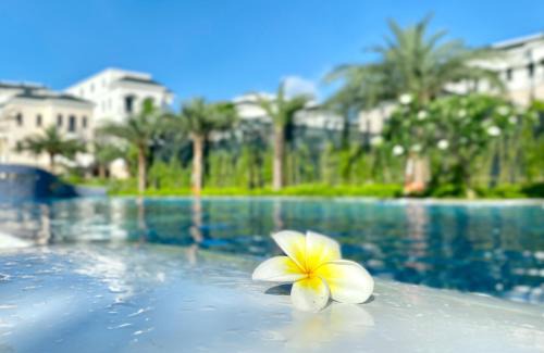 Van Giang Villa | Mây homestay Vin Ocean Park 2