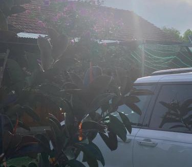 Tay Ninh House | Mây's garden camping