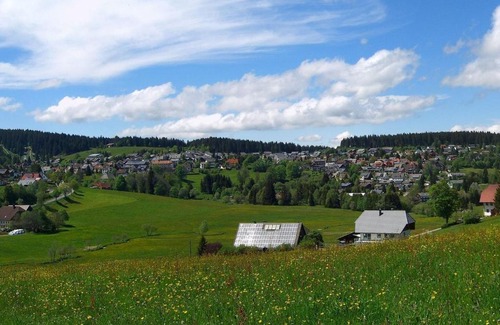 Schoenwald Apartment | Mühlenfranzenhof