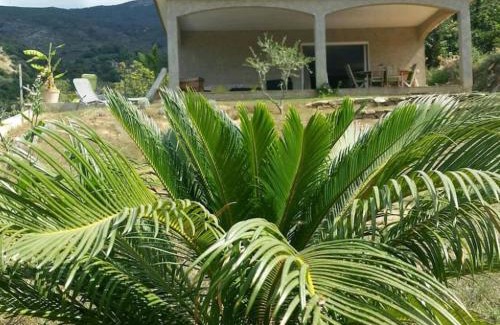 Patrimonio Apartment | Ma vie là