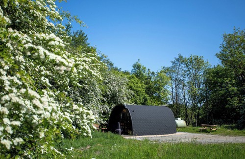 Dunfermline Cabin | Macallan, Off-Grid Cabin in Woods: Macallan. Pet Friendly!