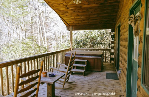 Murphy Cabin | MacDonald Cabin in Scottish Woods