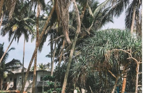 Rosendal Apartment | Magens Bay Beach 3 min Uphill drve to Rustic, Caribbean, indoor/outdoor cabin n