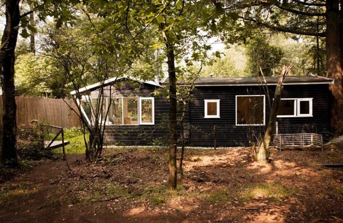 Krachtighuizen Cottage | Magical forest cottage at Veluwse bos.