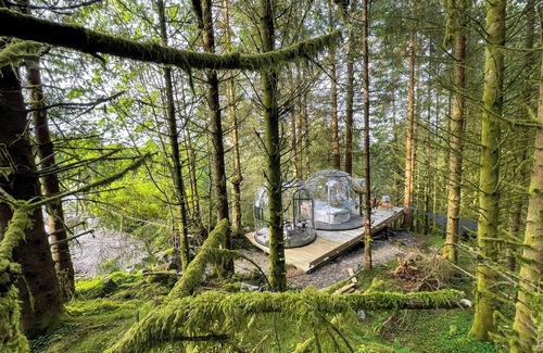 Asane House | Magical Forest Dome Getaway