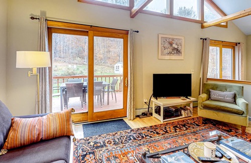 Perkinsville House | Magnificent mountain cottage with deck, firepit, W/D, wood stove, & water views