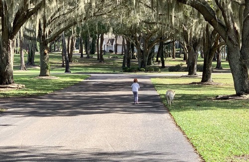Summerfield House | Magnificent Thoroughbred Farm in the heart of Florida Horse Country. Stalls too!