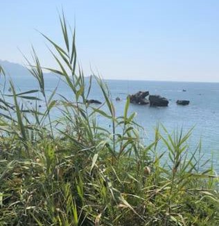 Jijel Province Apartment | Magnifique Appartement Jijel Plage Rocher Noir