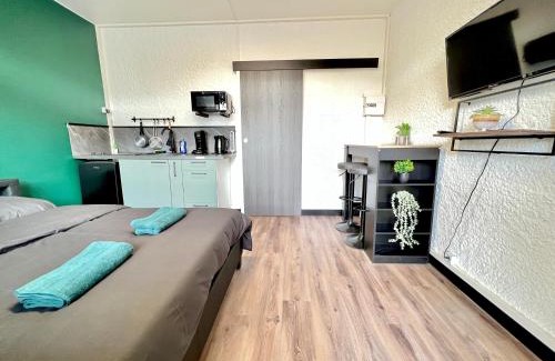 Chasseneuil-du-Poitou Apartment | Magnifique studio ~Hipster~ porte du Futuroscope