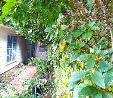 Croydon North House | Magnolia Cottage- wineries, main street, station