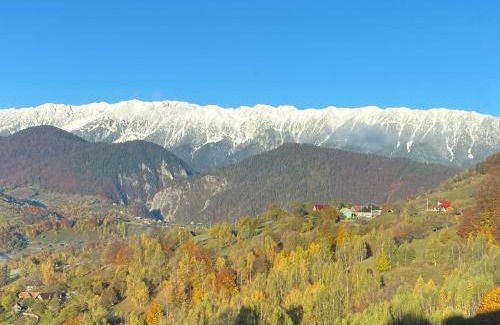 Moieciu Ski Chalet | Magura little chalet