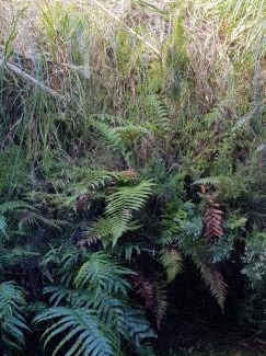 Upper Moutere Villa | Mahana Farm Cottage