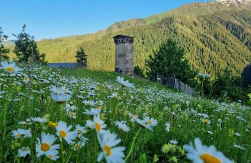 Tsvirmi House | Maia's Guesthouse