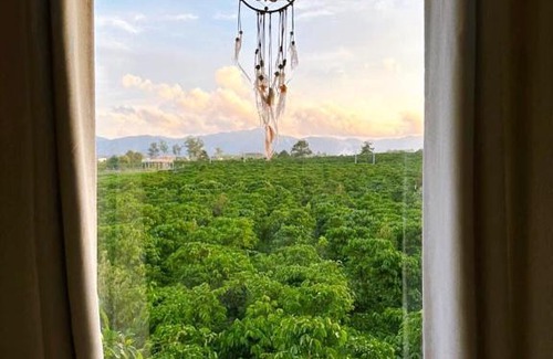 Bao Loc Cabin | Maian Natural Farm