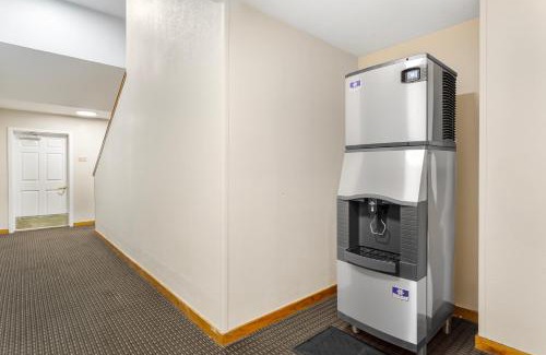 Temple Terrace Hotel | MainStay Suites Tampa Moffitt-USF
