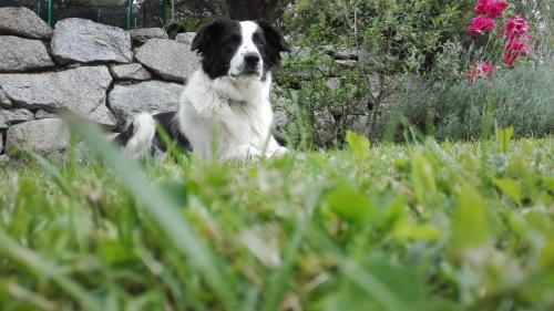 Terento Apartment | Mair am Graben Farm Chalets