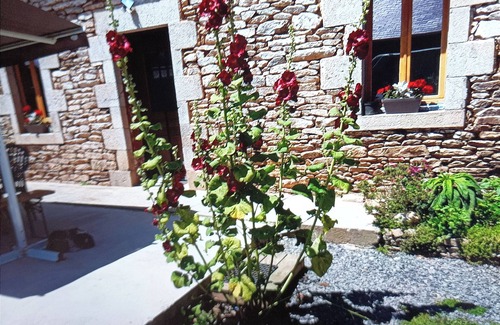 Ploneour-Lanvern Villa | Maison 3ch 5km des Plages Familiales ou Surf, gd Jardin Calme,animaux Acceptés