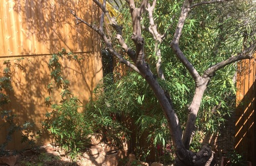La Ciotat House | Maison Avec Jardin vue mer à 2,5 km des Plages