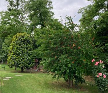 Navile Bed & Breakfast | Maison Country B&B