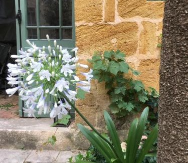 Castillon-la-Bataille House | Maison de Maître Elegia