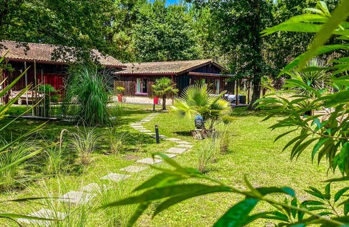 Hourtin House | Maison en bois sur parc de 2000 m2 avec piscine chauffée au sel + wifi