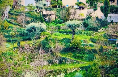 Falicon House | Maison Le Fleur: a haven of peace with swimming pool and garden in the hills above Nice