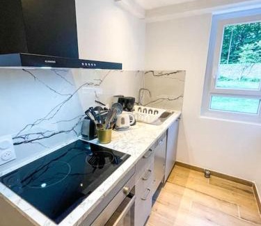 Aigueblanche Apartment | MAISON LUCIE #8 - Appartement Neuf 1 chambre avec un jardin