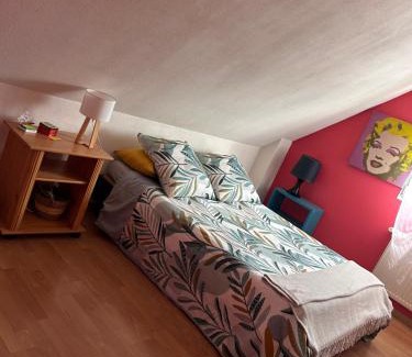 Kingersheim House | maison privée offre chambre hôte