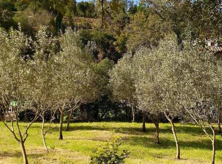 La Celle-sous-Gouzon House | Maison Tropez