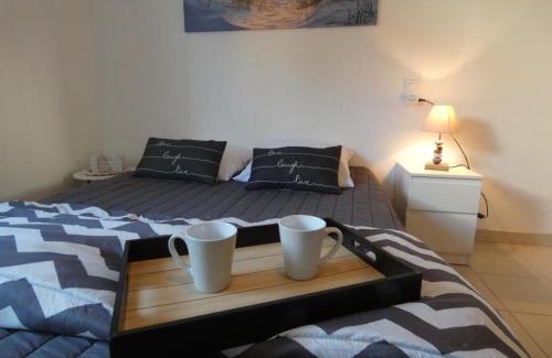 Fromentine House | Maison vacances Fromentine 4 pers, véranda, animaux admis, jardin, parking - FR-1-540-309