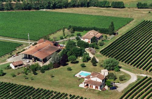 Villeneuve-de-Duras House | Maisonnette au coeur d'un vignoble