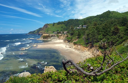 Newport Hotel | Making The Best Memories Along The Way! Free Parking, Pets Are Welcome