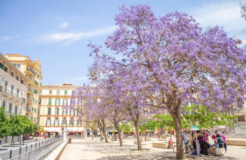 El Ejido Apartment | Malaga Centre Apartment with Parking