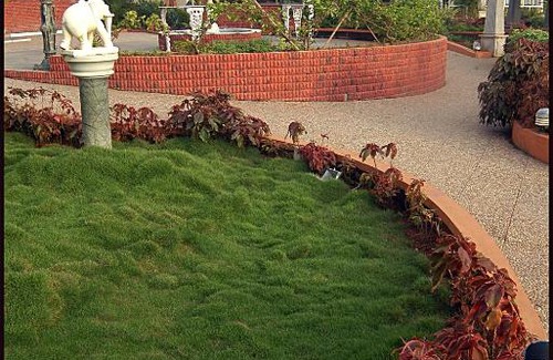 Malpe Hotel | Malpe Sea Front Cottages