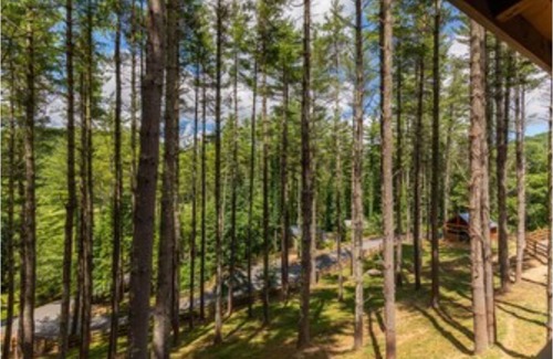 Valle Crucis Cabin | Mams Refuge at Heritage Hill