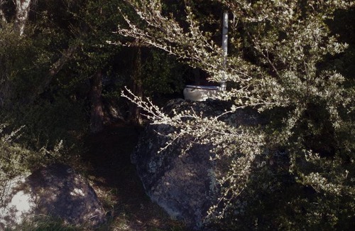 Christchurch District Other | Manaaki Mai, Rustic Retreat Bush Cabin