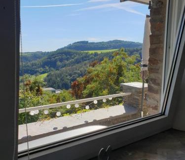 Manderscheid Apartment | Manderscheid Ferienwohnung mit Weitblick