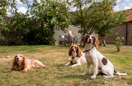 Irstead Apartment | Manor Barn | East Ruston Cottages